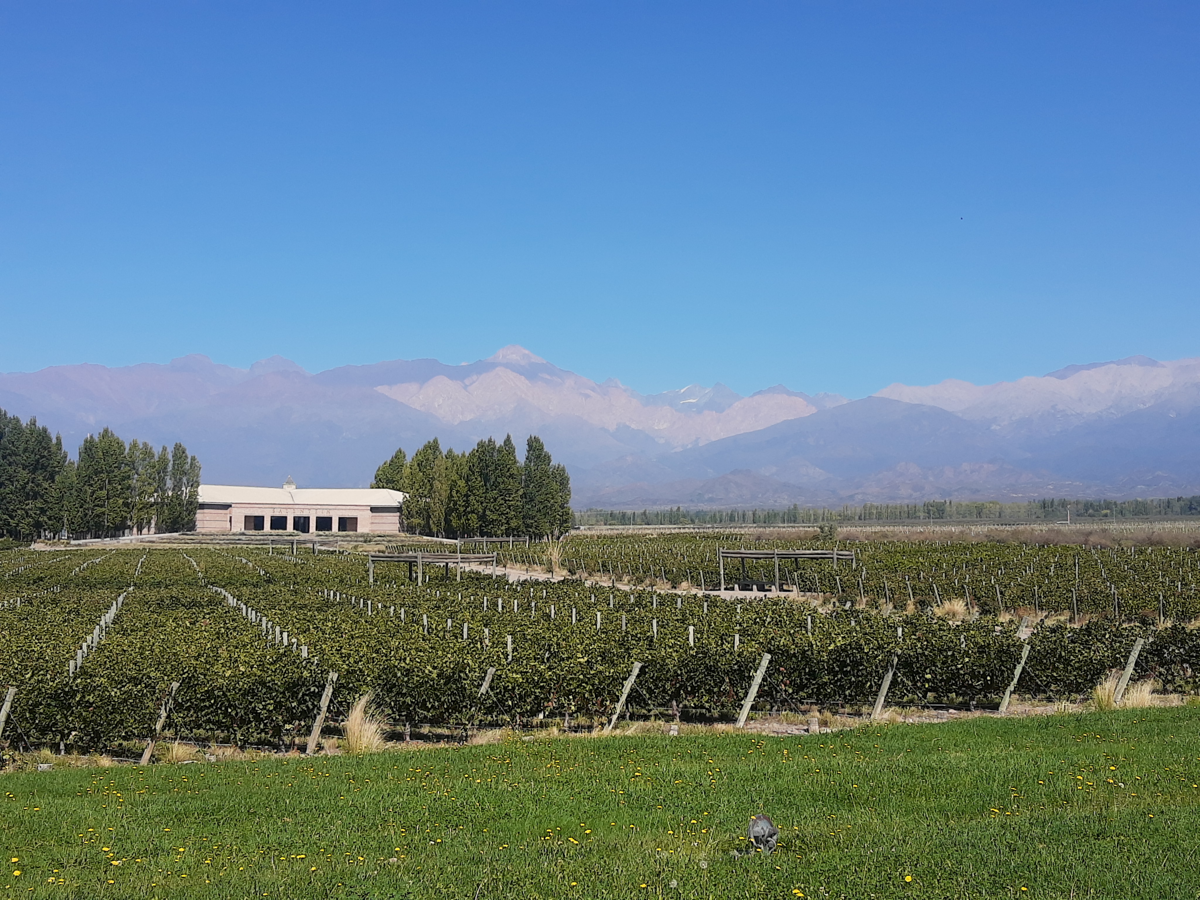 Valle de Uco Clásica/Deluxe